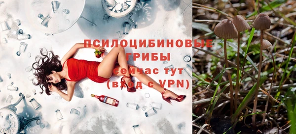 каннабис Нефтекумск