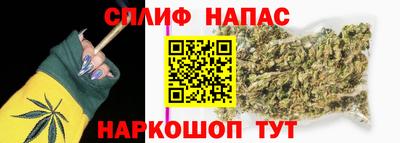 мяу мяу мука Гай