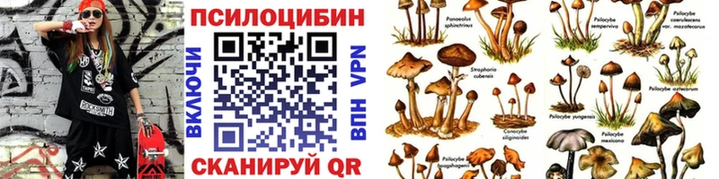 Псилоцибиновые грибы Magic Shrooms Сарапул