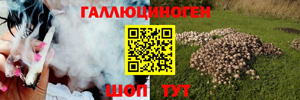 Сарапул  Псилоцибиновые грибы GOLDEN TEACHER  Вход с VPN 